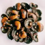 Cashew Nut Shell